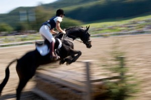 blurred image of woman on horse jumping over fence