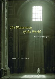 brian h. peteron's book cover in old building with sunlight shining in from rood