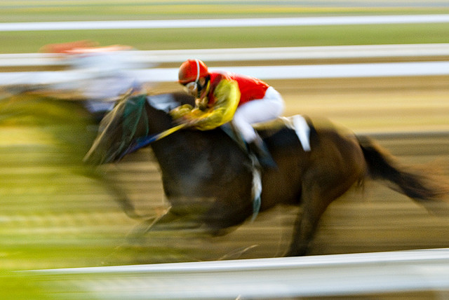 Race horse with background blurred to show speed