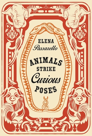 cover of animals strike curious poses with illustrated elephants and pigs with snake wrapped around title