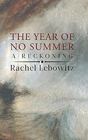 The year of no summer cover book title over abstract pattern