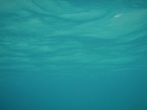 close up shot of caribbean sea water that is really blue