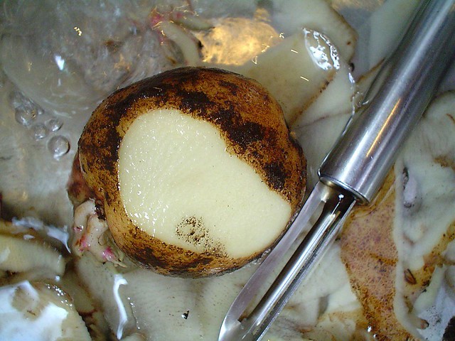 potato partially peeled, with peeler next to it ... in sink of other peels