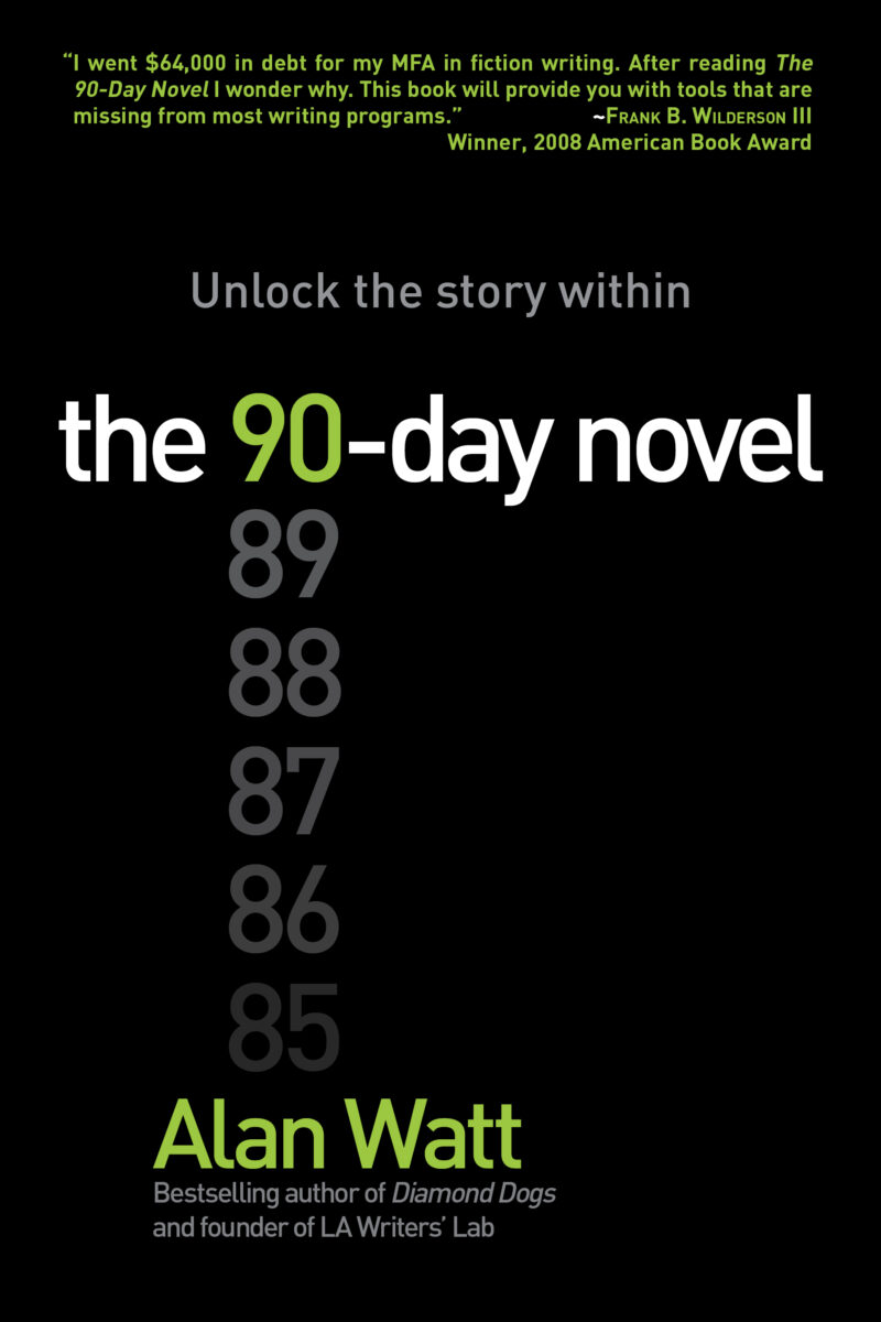 cover of the 90 day novel