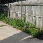 cement driveway with fence and plants