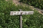 wooden sign that says "mint" in herb garden