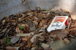 marlboro box in leaves