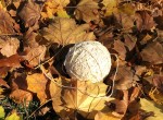 ball of string in the leaves