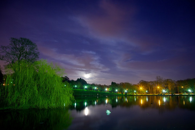 lake by moonlight
