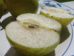 asian pear sliced with sugar on top