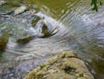 close-up shot of stream and rocks