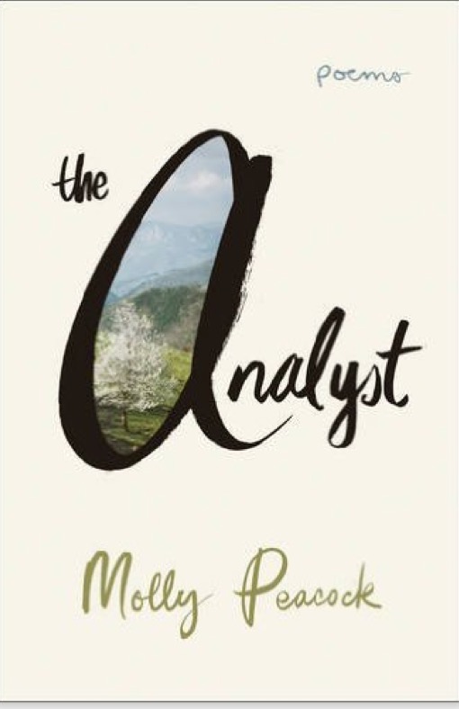 cover of the analyst with painting nature scene inside the a
