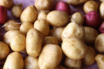 close-up shot of a pile of potatoes, mostly brown, a few purple