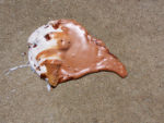 chocolate ice cream cone splattered on sidewalk