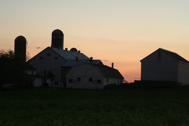 farm at sunrise - can see farmhouse and two silos and barn