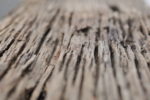 close up shot of a wooden deck