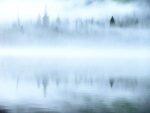 fog over a lake with pine treese poking out