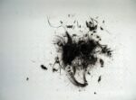 dark hair clippings in a white floor
