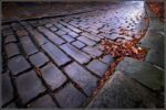 stretching cobblestone path in autumn with fallen leaves