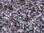 close-up image of bark-like mulch
