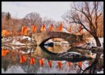 public art installation by Christo and Jeanne-Claude, The Gates, in Central Park.; orange banners hung all over; this image has some on a bridge, with the flags reflecting in the pond below
