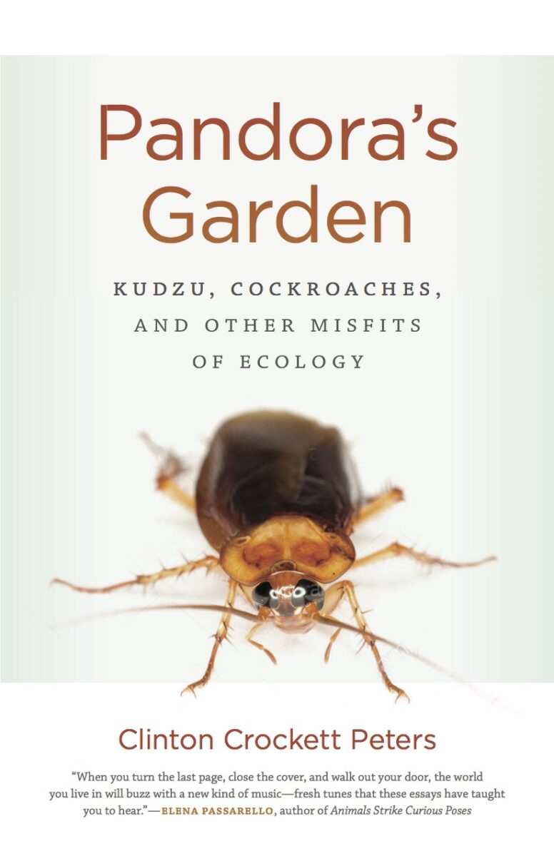 Book Cover: Pandora's Garden:Kudzu, Cockroaches, and Other Misfits of Ecology