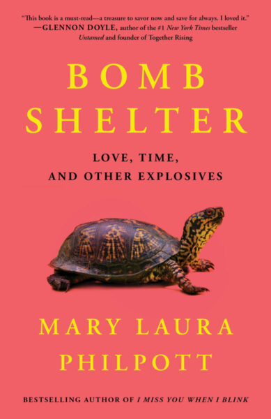Bomb Shelter Book Cover with turlte looking up