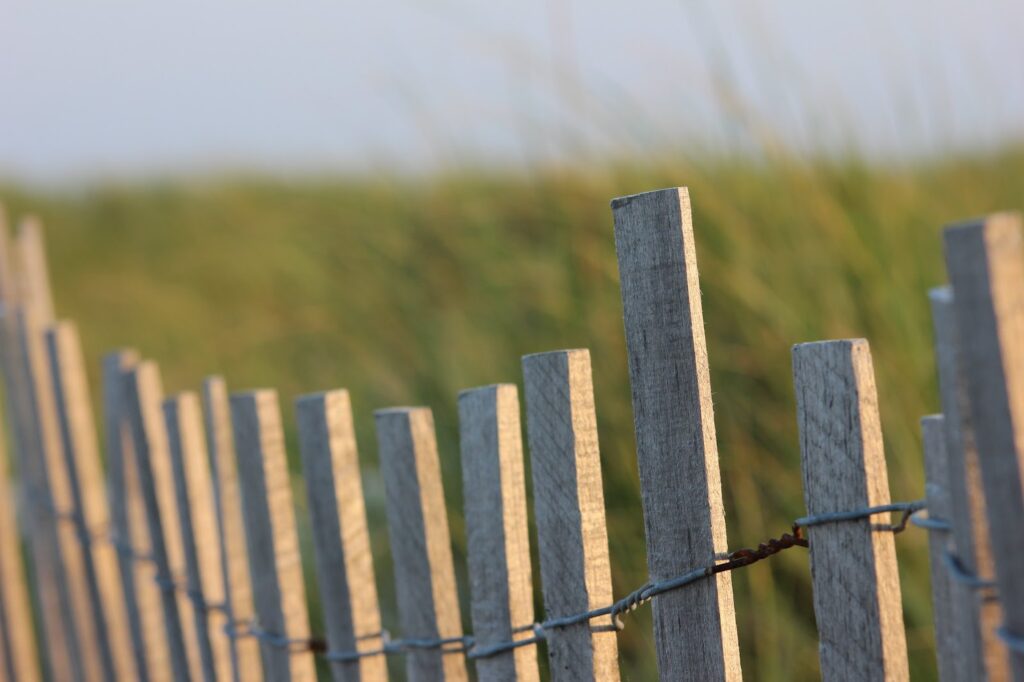 Wooden fence posts held by wire along grassy plain