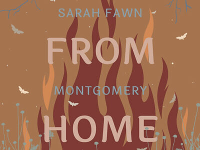 Halfway from Home Cover - abstract design of fire, grasses and roots