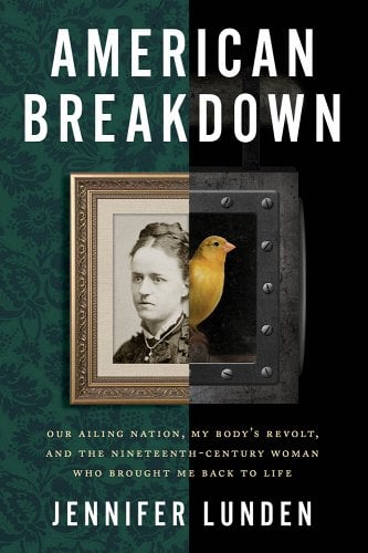 Book Cover: American Breakdown