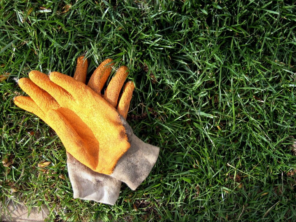 garden gloves laying on the grass