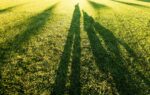 three human shadows of varying heights in sunny, grassy field