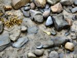 rocks and stones piled up on a beach with seaweed and sand -- and a stray housekey