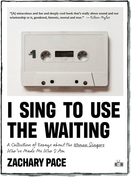 Book Cover: I Sing to Use the Waiting