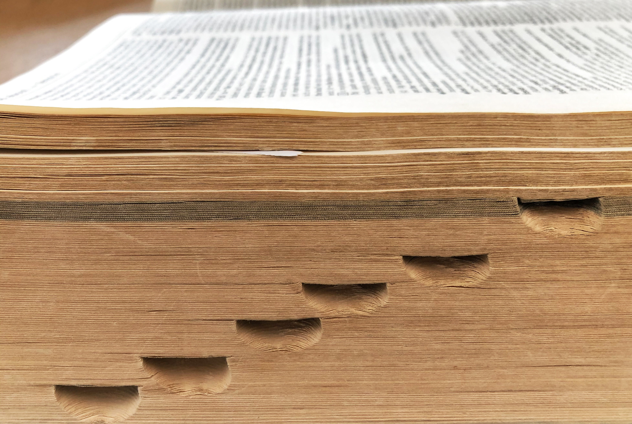 side photograph of a dictionary