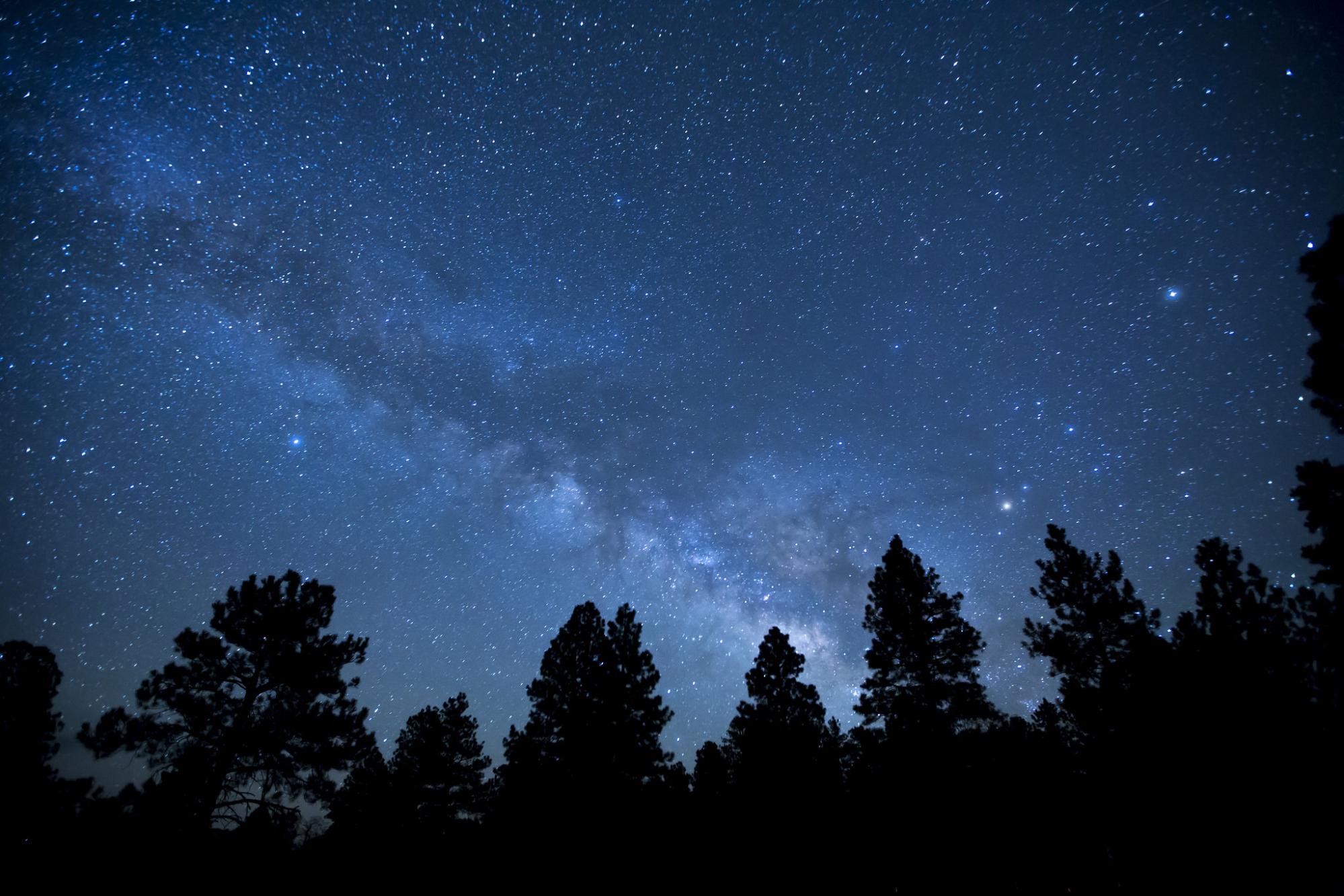 looking up into a starry night, bright blue sky in Montana, pine trees in background