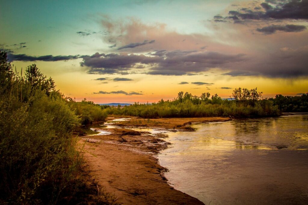 Looking out at a natural landscape at sunset with some brush and trees along a bank of a river