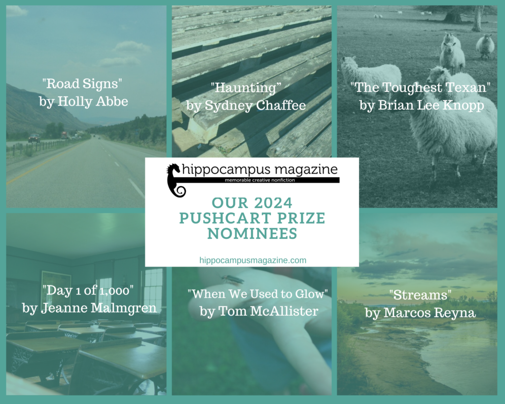 Image that announces our 2024 pushcart nominations, with author and essay names: Holly Abbe, “Road Signs”; Sydney Chaffee, “Haunting”; Brian Lee Knopp, “The Toughest Texan”; Jeanne Malmgren, “Day 1 of 1,000”; Tom McAllister ,“When We Used to Glow”; Marcos Reyna, “Streams” 